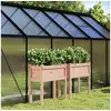 Image de Jardinières 2 pcs avec pieds bois massif douglas