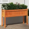 Image de Jardinières Avec Pieds Et Pieds 110x31x70 Cm Bois De Pin Massif Vidaxl
