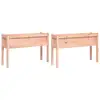 Image de Jardinières 2 Pcs Avec Pieds Bois Massif Douglas Vidaxl