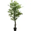 Image de Ficus Artificiel 378 Feuilles 80 Cm Vert Vidaxl
