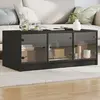Image de Table Basse Avec Portes En Verre Noir 102x50x42 Cm Vidaxl