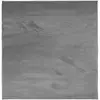 Image de Vidaxl tapis oviedo à poils courts anthracite 120x120 cm