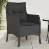 Image de Chaises De Jardin Avec Coussins Lot De 2 Noir Résine Tressée Vidaxl
