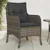 Image de Chaises De Jardin Avec Coussins Lot De 2 Gris Résine Tressée Vidaxl