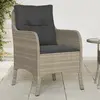 Image de Chaises De Jardin Coussins Lot De 2 Gris Clair Résine Tressée Vidaxl