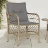 Image de Chaises De Jardin Avec Coussins Lot De 2 Mélange Beige Rotin Vidaxl