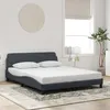 Image de vidaXL Cadre de lit Dover gris foncé 160x200 cm velours 373213