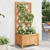 Image de Jardinière Avec Treillis Marron Bois Massif De Sapin Vidaxl