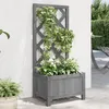 Image de Jardinière Avec Treillis Gris Bois Massif De Sapin Vidaxl