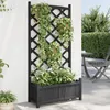 Image de vidaXL Jardinière avec Treillis Lit Surélevé Bac à Fleurs Pot de Plantes Boîte à Fleurs Jardin Patio Terrasse Noir Bois 365490