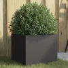Image de vidaXL Jardinière Bac à Fleurs Pot de Plantes Boîte à Fleurs Jardinière Surélevée de Jardin Patio Terrasse Noir 841535