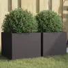 Image de Jardinières 2 Pcs Noir 32x30x29 Cm Acier Vidaxl