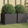 Image de vidaXL Jardinières 2 pcs Bacs à Fleurs Pots de Plantes Boîtes à Fleurs Jardinières Surélevées de Jardin Terrasse Noir 841536