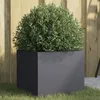 Image de vidaXL Jardinière Bac à Fleurs Pot de Plantes Boîte à Fleurs Jardinière Surélevée de Jardin Patio Terrasse Anthracite 841539