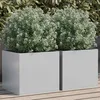 Image de vidaXL Jardinières 2 pcs Lits Surélevé Bacs à Fleurs Pots de Plantes Boîtes à Fleurs Jardin Patio Terrasse Argenté 841546
