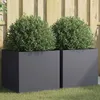 Image de vidaXL Jardinières 2 pcs Bacs à Fleurs Pots de Plantes Boîtes à Fleurs Jardinières Surélevées de Jardin Terrasse 841564