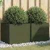 Image de vidaXL Jardinières 2 pcs Bacs à Fleurs Pots de Plantes Boîtes à Fleurs Jardinières Surélevées de Jardin Terrasse Vert 841566
