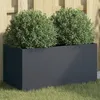 Image de vidaXL Jardinière Bac à Fleurs Pot de Plantes Boîte à Fleurs Jardinière Surélevée de Jardin Patio Terrasse Anthracite 841591