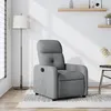 Image de vidaXL Fauteuil Inclinable Chaise avec Repose-pieds Siège avec Dossier et Accoudoirs Meuble de Salle de Séjour Moderne 374197