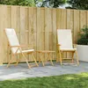Image de vidaXL Lot de 2 Chaises Inclinables de Jardin Pliantes avec Coussins Sièges avec Accoudoirs Fauteuils avec Dossier de 365875