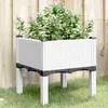 Image de vidaXL Jardinière avec Pieds Lit Surélevé Bac à Fleurs Pot de Plantes Jardin Patio Terrasse Arrière-cour Extérieur Blanc 367889