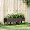 Image de Jardinière avec pieds marron 120x40x42 cm pp