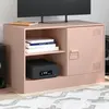 Image de Meuble Tv Rose 67x39x44 Cm Acier Vidaxl