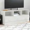 Image de Meuble Tv Blanc 99x39x44 Cm Acier Vidaxl