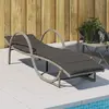 Image de Chaise Longue Et Coussin Gris Clair 60x199x42 Cm Résine Tressée Vidaxl