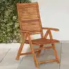 Image de Chaises De Jardin Pliantes Inclinables Lot De 2 Vidaxl