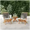 Image de Vidaxl chaises de jardin lot de 2 gris bois d'acacia et polypropylène