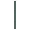 Image de vidaXL Membrane anti-mauvaises herbes vert 2x150 m PP tissu anti-mauvaises herbes membrane de contrôle des mauvaises 4005267