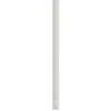 Image de Membrane Anti-mauvaises Herbes Blanc 2x100 M Pp Vidaxl