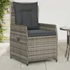 Image de Chaises Inclinables De Jardin Lot De 2 Gris Résine Tressée Vidaxl