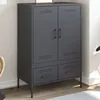 Image de vidaXL Buffet Haut Armoire avec Pieds et Compartiments Placard avec Porte Organisateur de Salle de Séjour Anthracite 843110