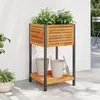 Image de vidaXL Jardinière et étagère 45x45x80 cm bois massif dacacia et acier jardinière dextérieur bac à fleurs bac à pommes 367616