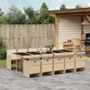 Image de vidaXL Ensemble à manger de jardin et coussins 11 pcs beige poly rotin 3277701