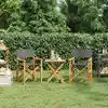 Image de Chaises De Metteur En Scène Pliantes Lot De 2 Bois Teck Massif Vidaxl