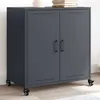 Image de vidaXL Buffet Armoire avec Porte Placard avec Rangement Organisateur de Salle de Séjour Salon Maison Intérieur 846658