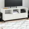Image de Meuble Tv Blanc 100,5x39x43,5 Cm Acier Vidaxl