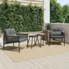 Image de Chaises De Jardin Avec Coussins Lot De 2 Noir Acier Vidaxl