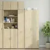 Image de Armoire De Rangement Mince Chêne Sonoma 30x42,5x225 Cm Vidaxl