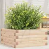 Image de Jardinière 50x50x23 Cm Bois De Pin Massif Vidaxl