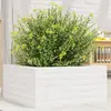 Image de Jardinière Blanc 50x50x23 Cm Bois De Pin Massif Vidaxl