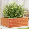 Image de Jardinière Cire Marron 60x60x23 Cm Bois De Pin Massif Vidaxl