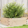 Image de Jardinière 70x70x23 Cm Bois De Pin Massif Vidaxl