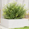 Image de Jardinière Blanc 70x70x23 Cm Bois De Pin Massif Vidaxl