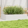 Image de Jardinière Blanc 110x60x23 Cm Bois De Pin Massif Vidaxl