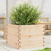 Image de Jardinière 60x60x45,5 Cm Bois De Pin Massif Vidaxl
