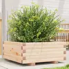 Image de Jardinière 60x60x26,5 Cm Bois De Pin Massif Vidaxl